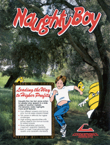 Naughty Boy (Cinematronics) Arcade Game Cover